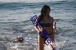 成人三级国产,成人三级教育新篇章