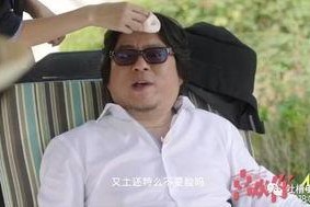 国产一级A爱片,揭秘中国影视产业的独特魅力