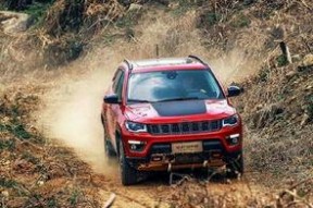 国产 jav,国产Java技术发展与应用全景解析